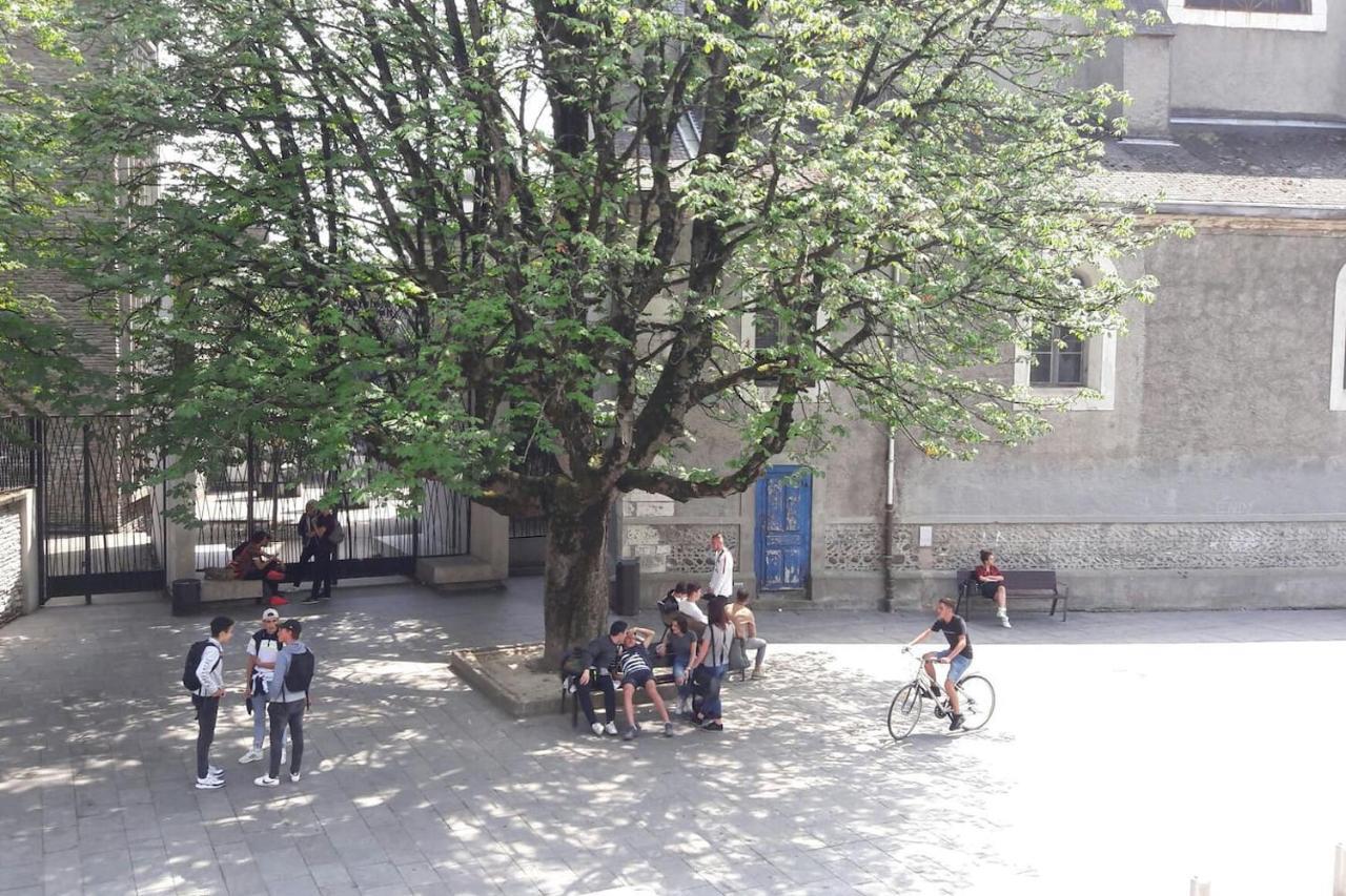 Un Lumineux Au Parc Beaumont Apartment Pau